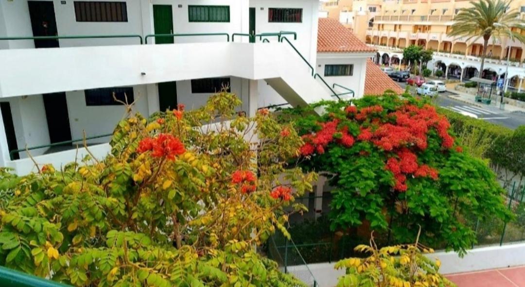 Apartament Luxury Sonnenland Maspalomas  Zewnętrze zdjęcie
